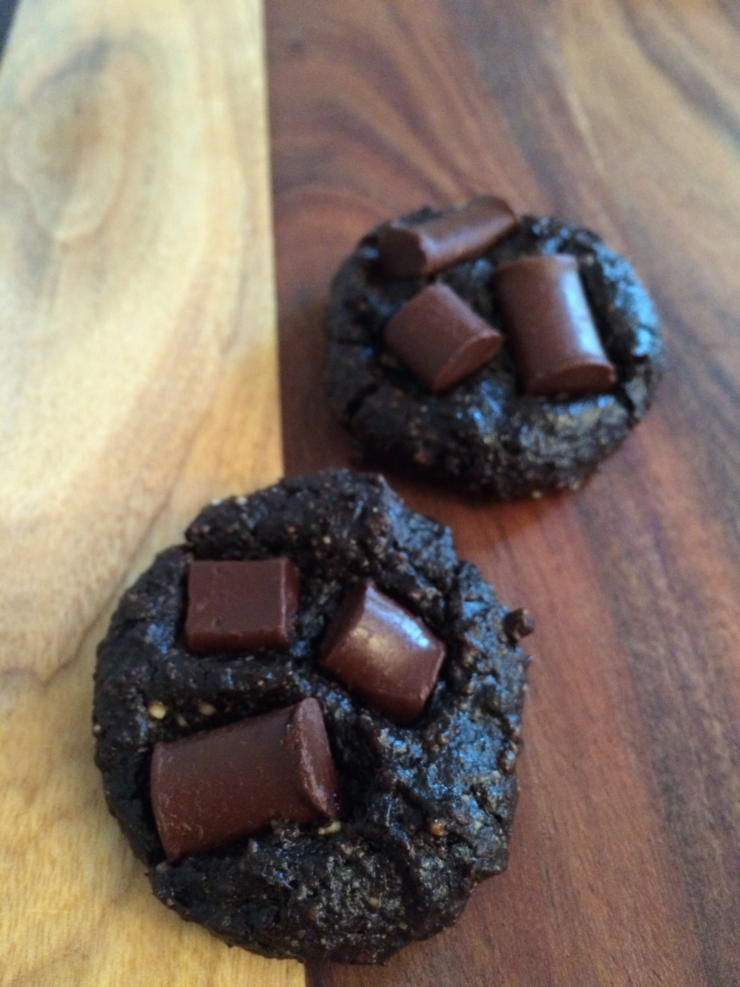 Flourless Chewy Chocolate Cookies (vegan, GF, Paleo)