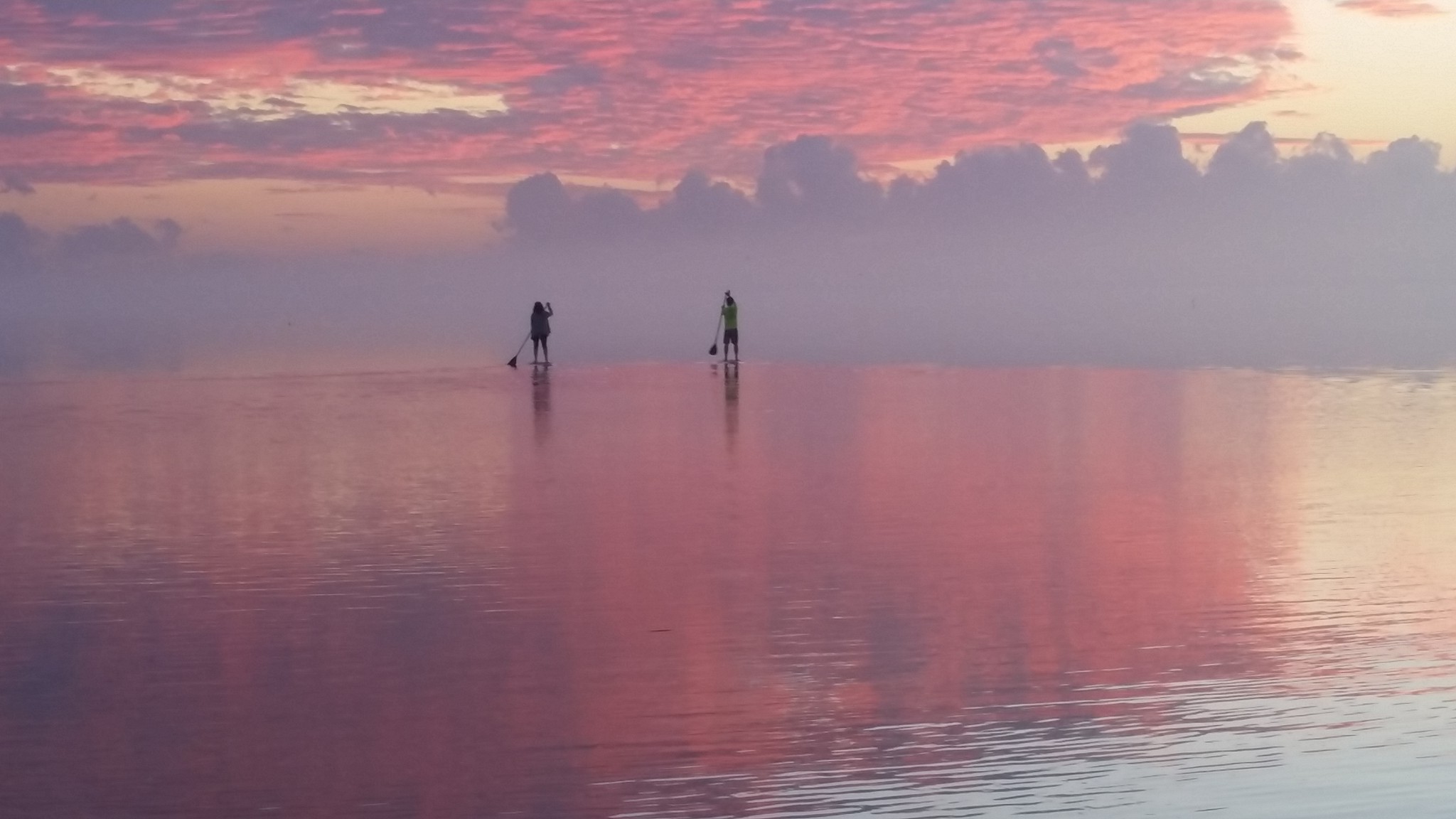 Farm Fresh And Active