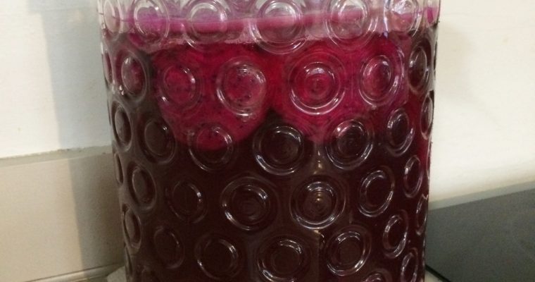 Dragonfruit Kombucha